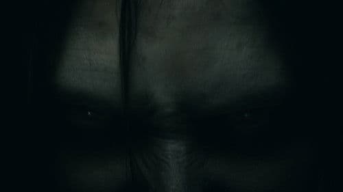 Fase terminal Bild 3