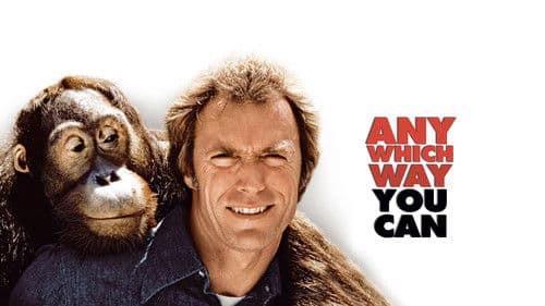 Mit Vollgas nach San Fernando Bild 2