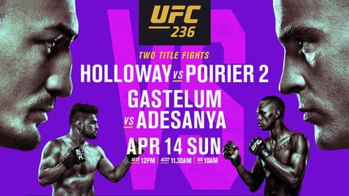 UFC 236: Holloway vs. Poirier 2 Bild 1