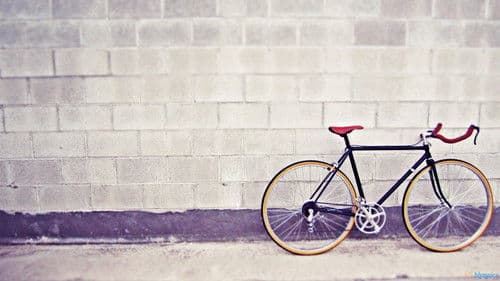 fixie Bild 1