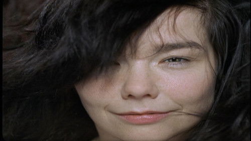 Björk: Volumen Plus Bild 1