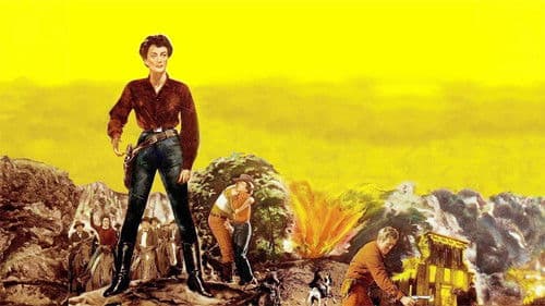 Johnny Guitar - Wenn Frauen hassen Bild 4
