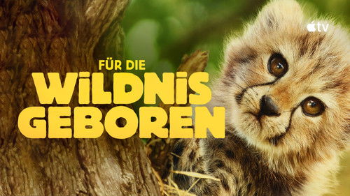 Für die Wildnis geboren Bild 1