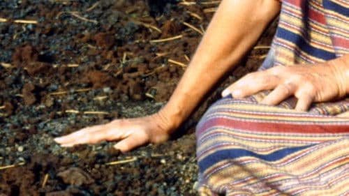 Schwarze Sünde Bild 1