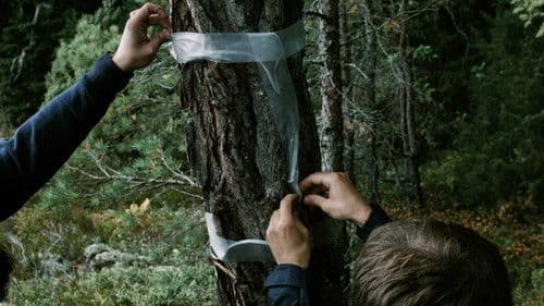 The Mirrored Message Bild 1