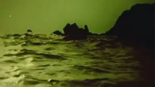 Солнечное зёрнышко Bild 5