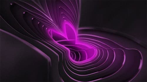 Secrets of Playboy Bild 1