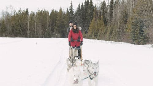 Eine Weihnachtsgeschichte aus dem Norden Bild 4