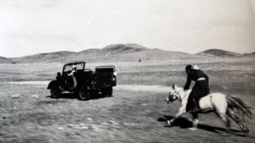 Морьтой ч болоосой Bild 4