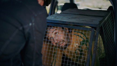 Armomurhaaja - Euthanizer Bild 8