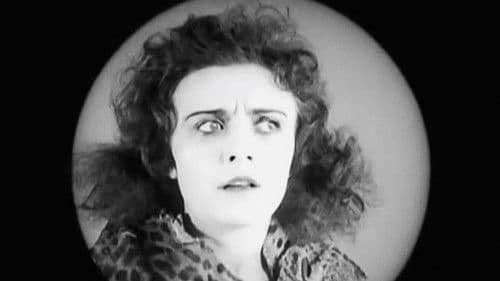 Die Bergkatze Bild 7