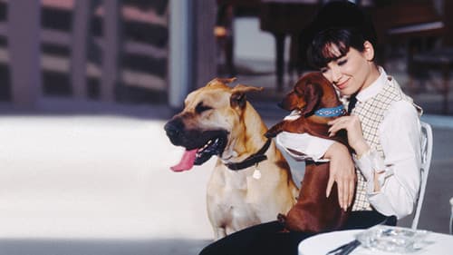 Geliebter Haustyrann Bild 2