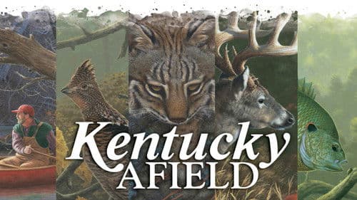 Kentucky Afield Bild 1