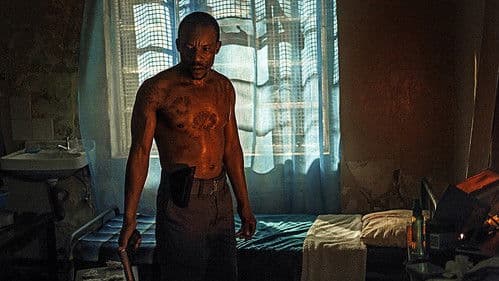 Five Fingers for Marseilles Bild 7