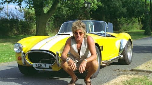 Rod Stewart, Stimme mit Rock und Seele Bild 7