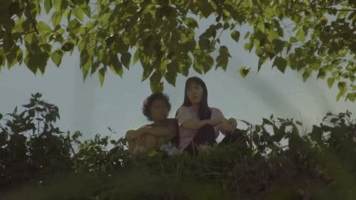 Sol Searching Bild 1