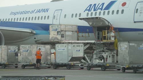 Luchthaven 24/7 Bild 1