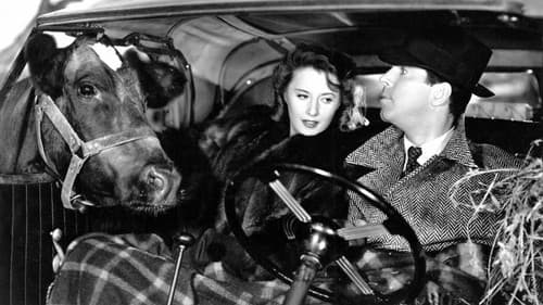 Die unvergessliche Weihnachtsnacht Bild 1