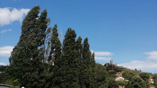 Chaînes Dorées Bild 2