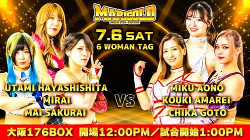 Marigold Summer Gold Shine 2024 ~ Day 1 Bild 2