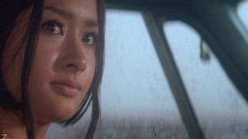 Stray Cat Rock: Wild Jumbo Bild 6