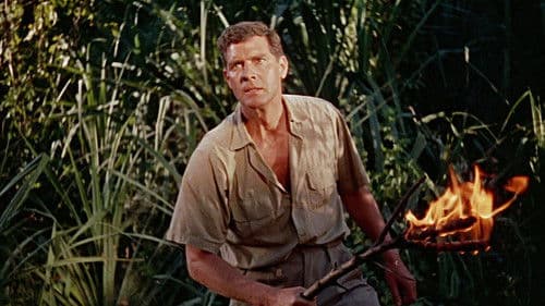 Der Tiger von Eschnapur Bild 6