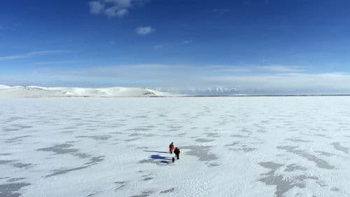 Le Cavalier mongol Bild 3