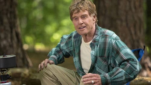 Picknick mit Bären Bild 6