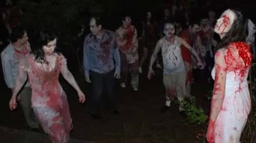 Ada: Zombilerin Düğünü Bild 1