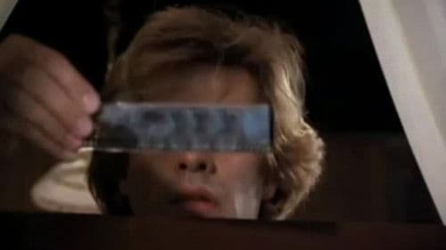 A Força dos Sentidos Bild 8