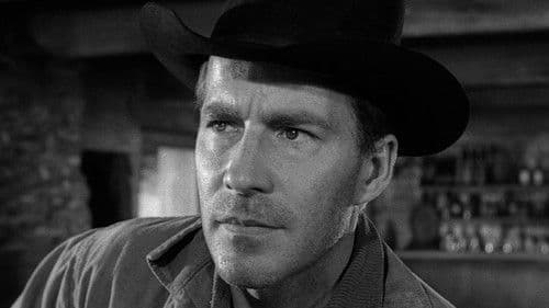 Zwei in der Falle Bild 5