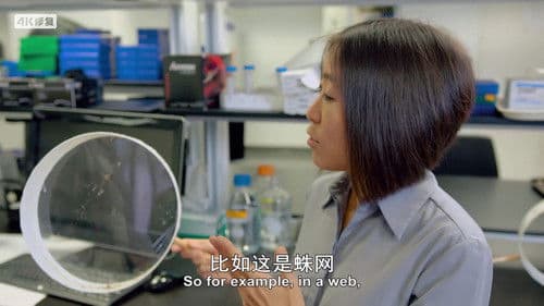 Animal Impossible Bild 3