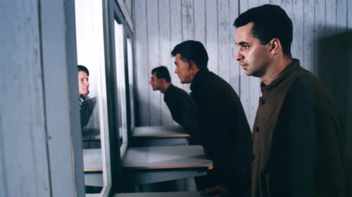 Zdivočelá země Bild 2