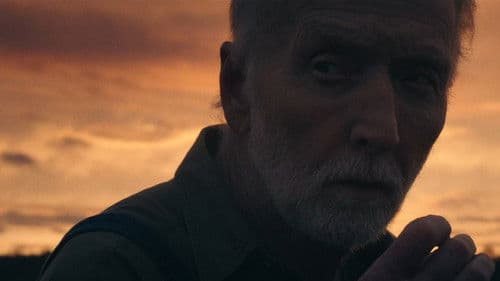 My Pretty Pony Bild 2