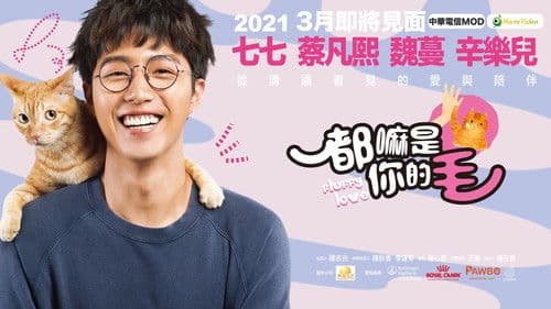 都嘛是你的毛 Bild 1