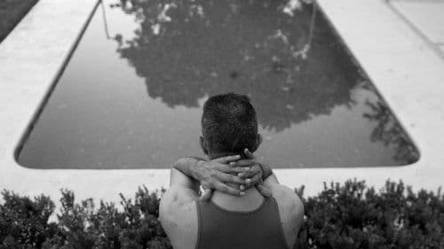 La sinfonía del sandwich Bild 3