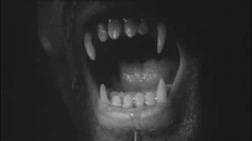 Bei Vollmond Mord - Lycanthropus Bild 2