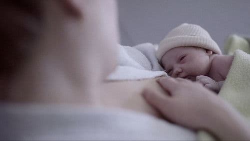 Les Premiers 1000 Jours Bild 2