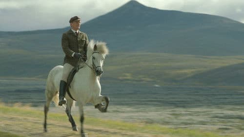 Von Menschen und Pferden Bild 4