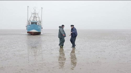 Flut und Ebbe Bild 1