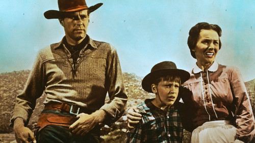 Harte Männer - harte Fäuste Bild 2