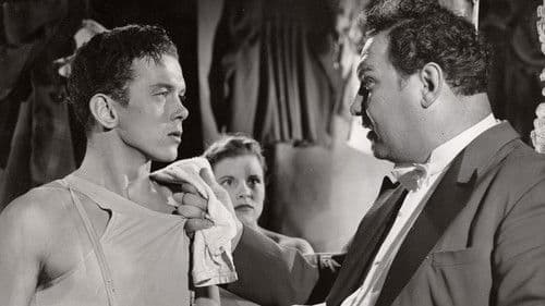 Cirkus Fandango Bild 1