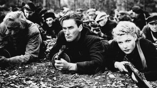 Aufstand in Trollness Bild 2