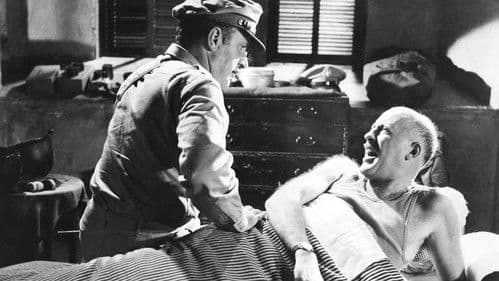 Die Rose von Tokio Bild 3