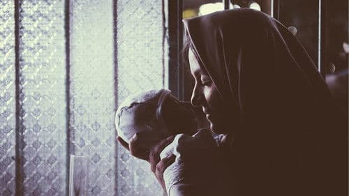 شیار ۱۴۳ Bild 3