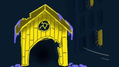 Жовтий кіт з блакитними очима Bild 2