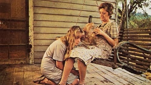 Lolly-Madonna XXX Bild 6