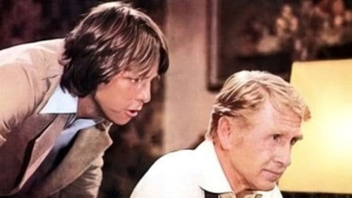 Shimmering Light Bild 2