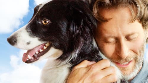 Ein Hund namens Duke Bild 5