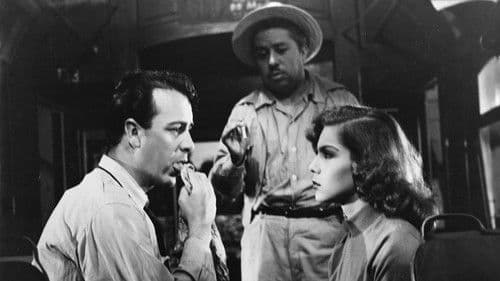 Die Illusion fährt mit der Straßenbahn Bild 6